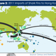 Image for article titled $314 million in shark ecotourism probably won’t dent the global fin trade, but it’s a start